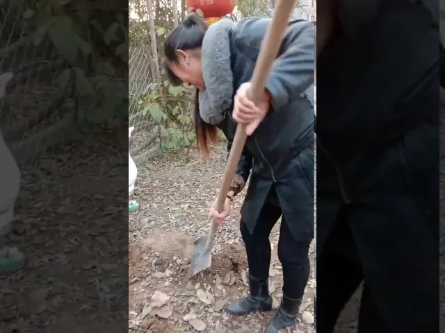 大衣哥到底藏了啥好东西,趁他不在家,大衣嫂带人赶紧翻一翻